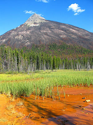 o2/93/684593/1/74802986.aVaIq0fS.Rockies_IMG_5002_edit.JPG