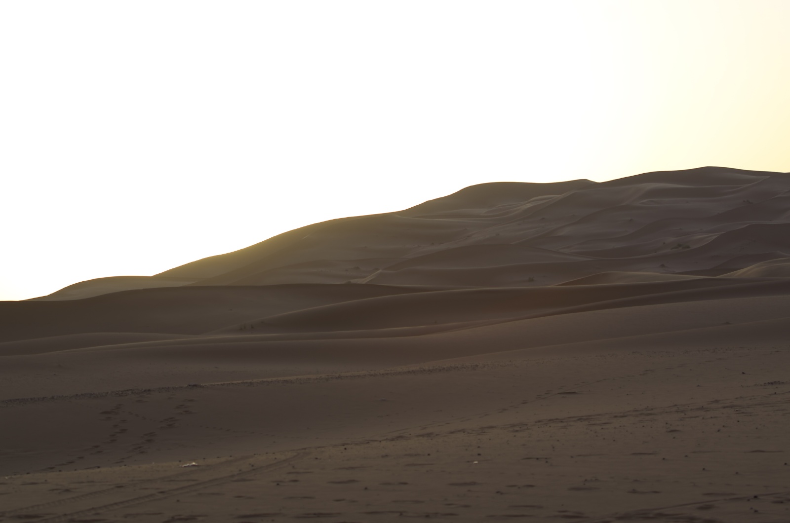 057 2011-07-26 Erg Chebbi, de Dromedarissentocht.jpg