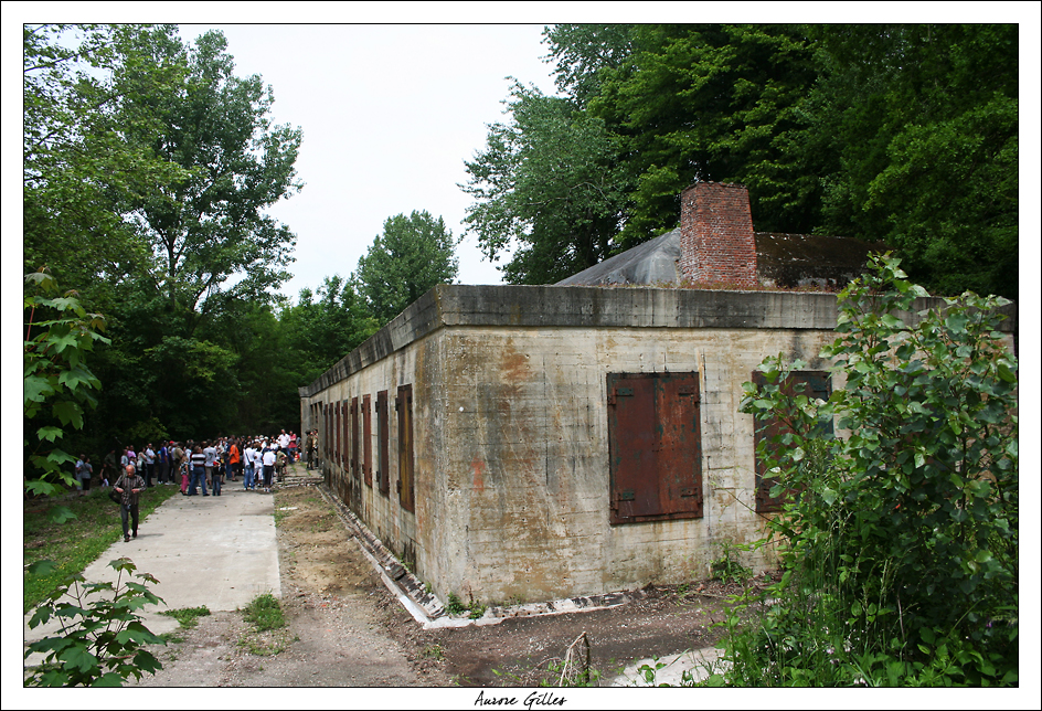 Vue densemble du Fhrerbunker
