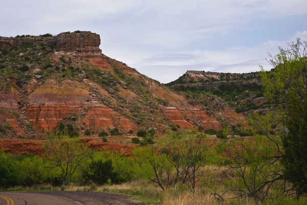 IMG_9576 Spring in The Canyon.jpg