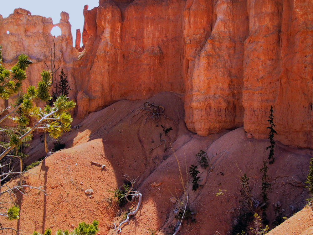 Image-92.jpg