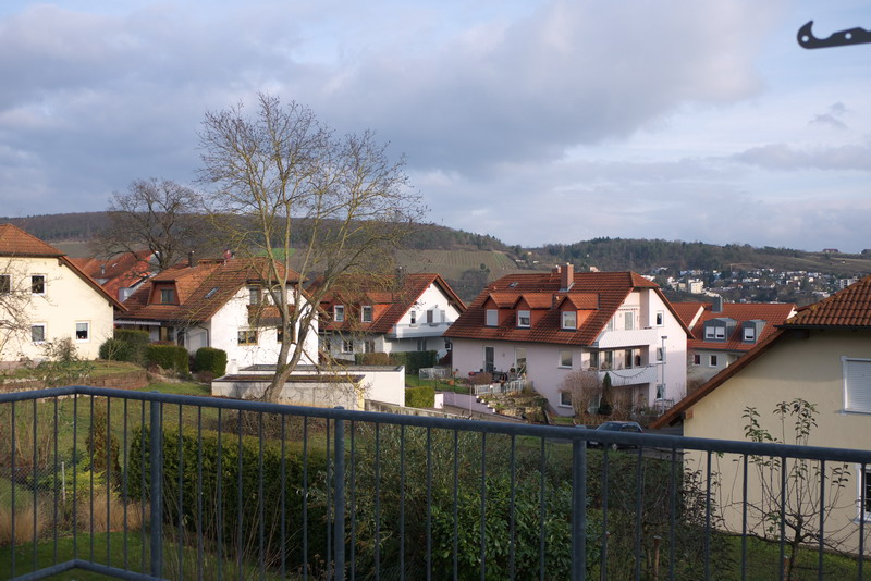 P1000141SPvoll.jpg