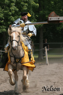 Medieval Faire D070515 108 WWW.jpg