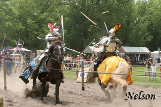 Medieval Faire D070515 176 WWW.jpg