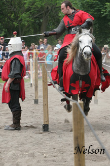 Medieval Faire D070601 169 WWW.jpg