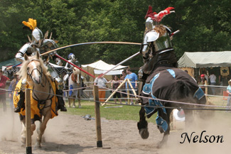 Medieval Faire D070603 187 WWW.jpg