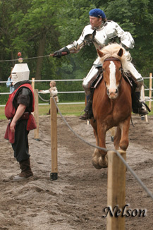 Medieval Faire D070604 199 WWW.jpg