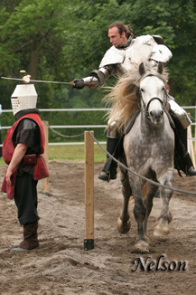 Medieval Faire D070604 202 WWW.jpg