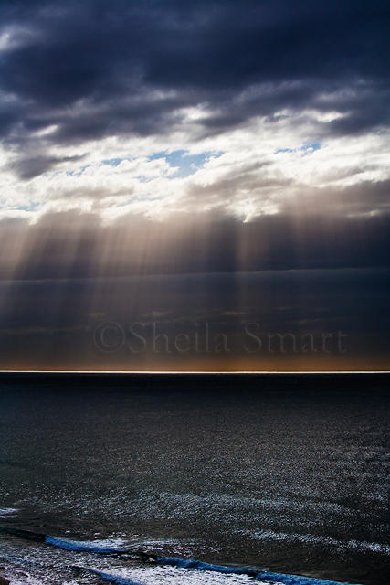 Jacobs ladder at Mona Vale