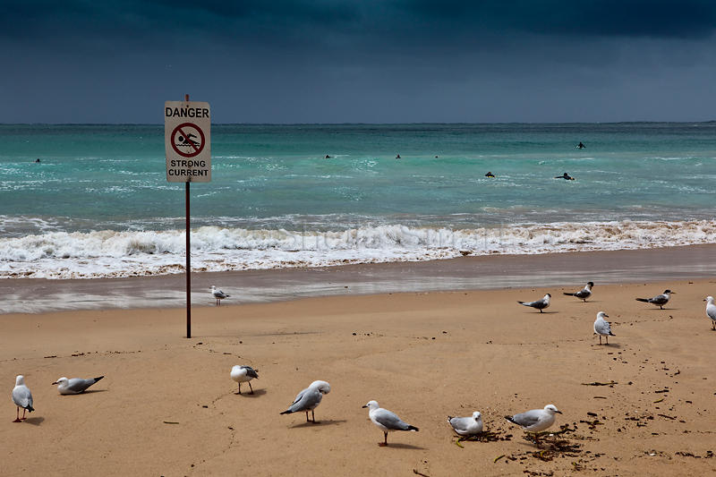 Danger strong current sign in Manly