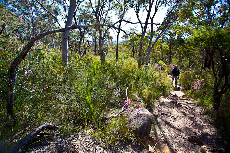 Fred on walk in Muogamarra Nature Reserve