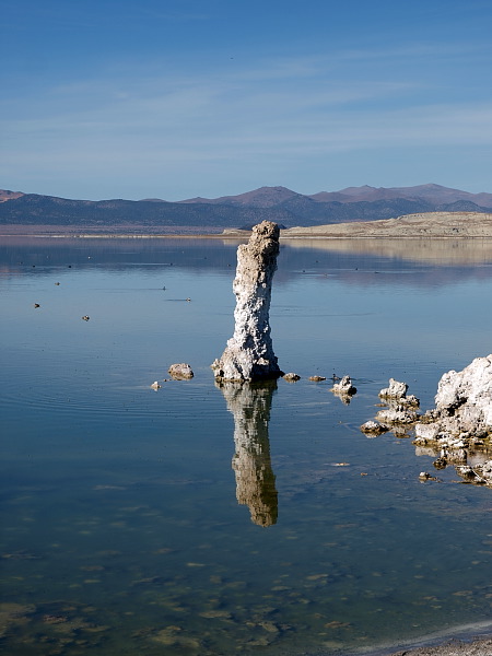 PA247540.jpg