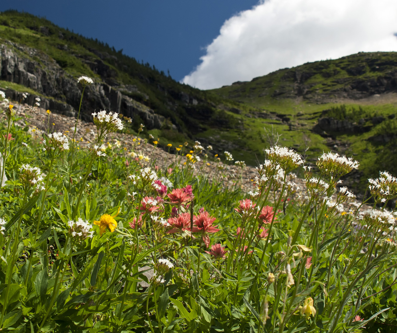 glacierNP_10_139.JPG