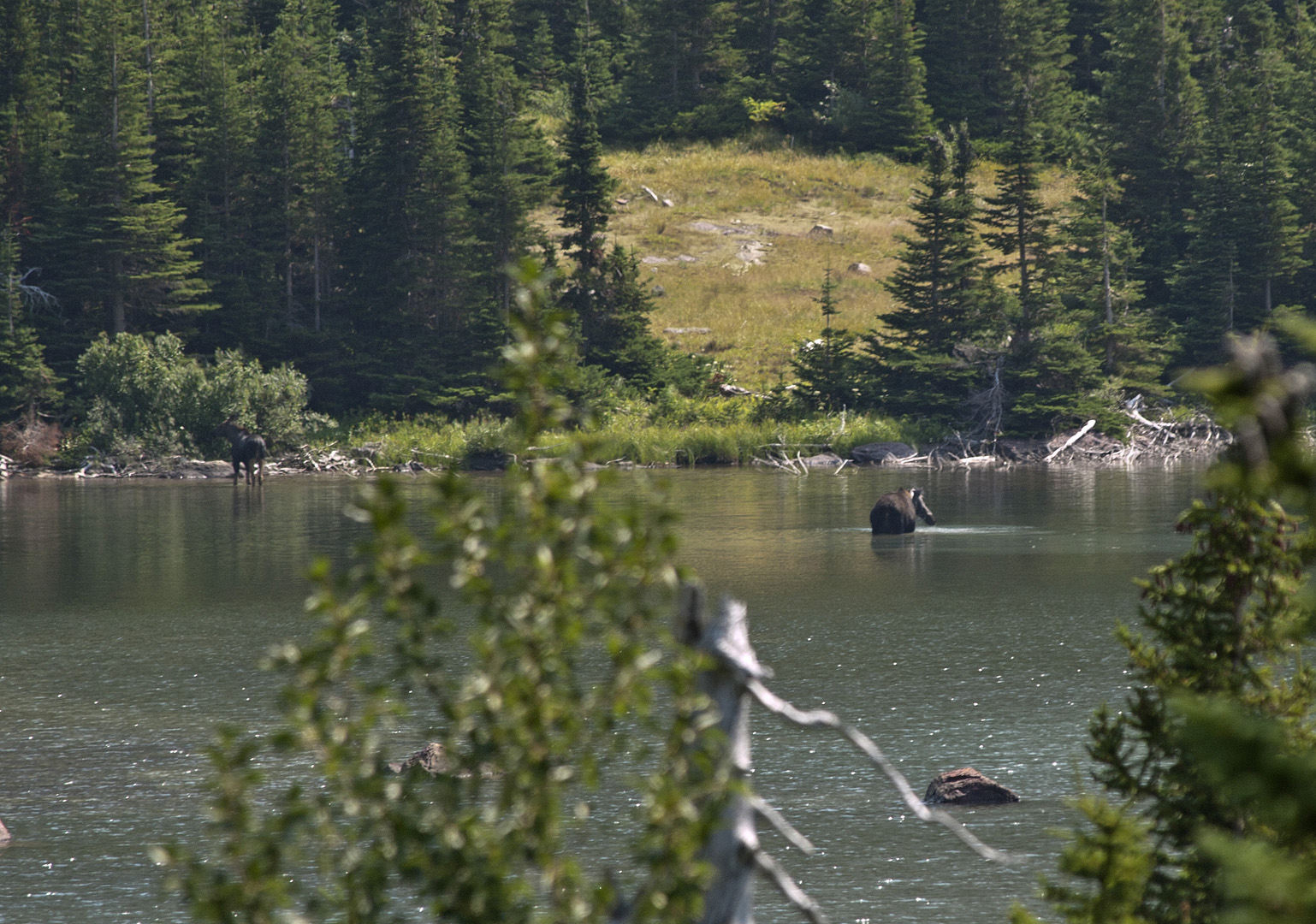 glacierNP_10_394.JPG