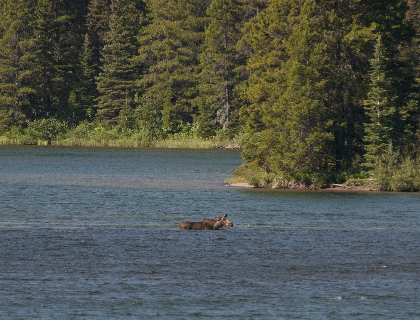 glacierNP_10_452.JPG