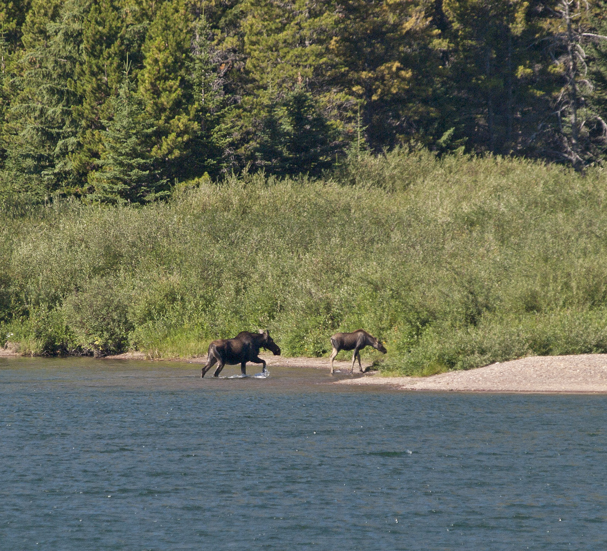 glacierNP_10_466.JPG