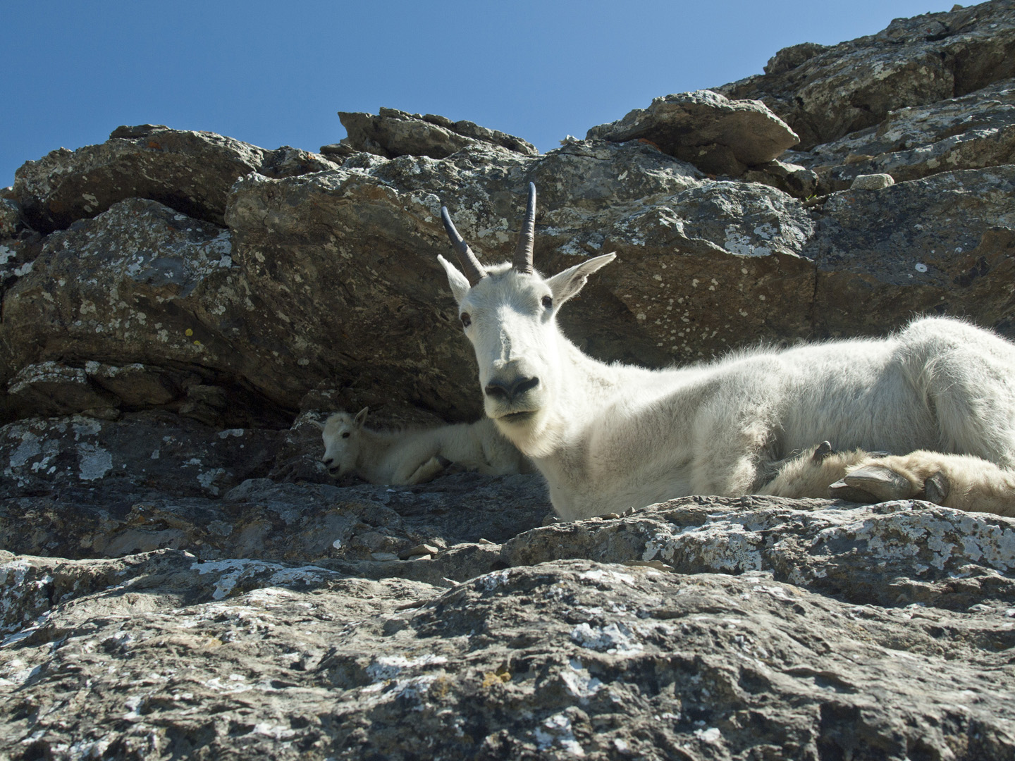 glacierNP_10_484.JPG