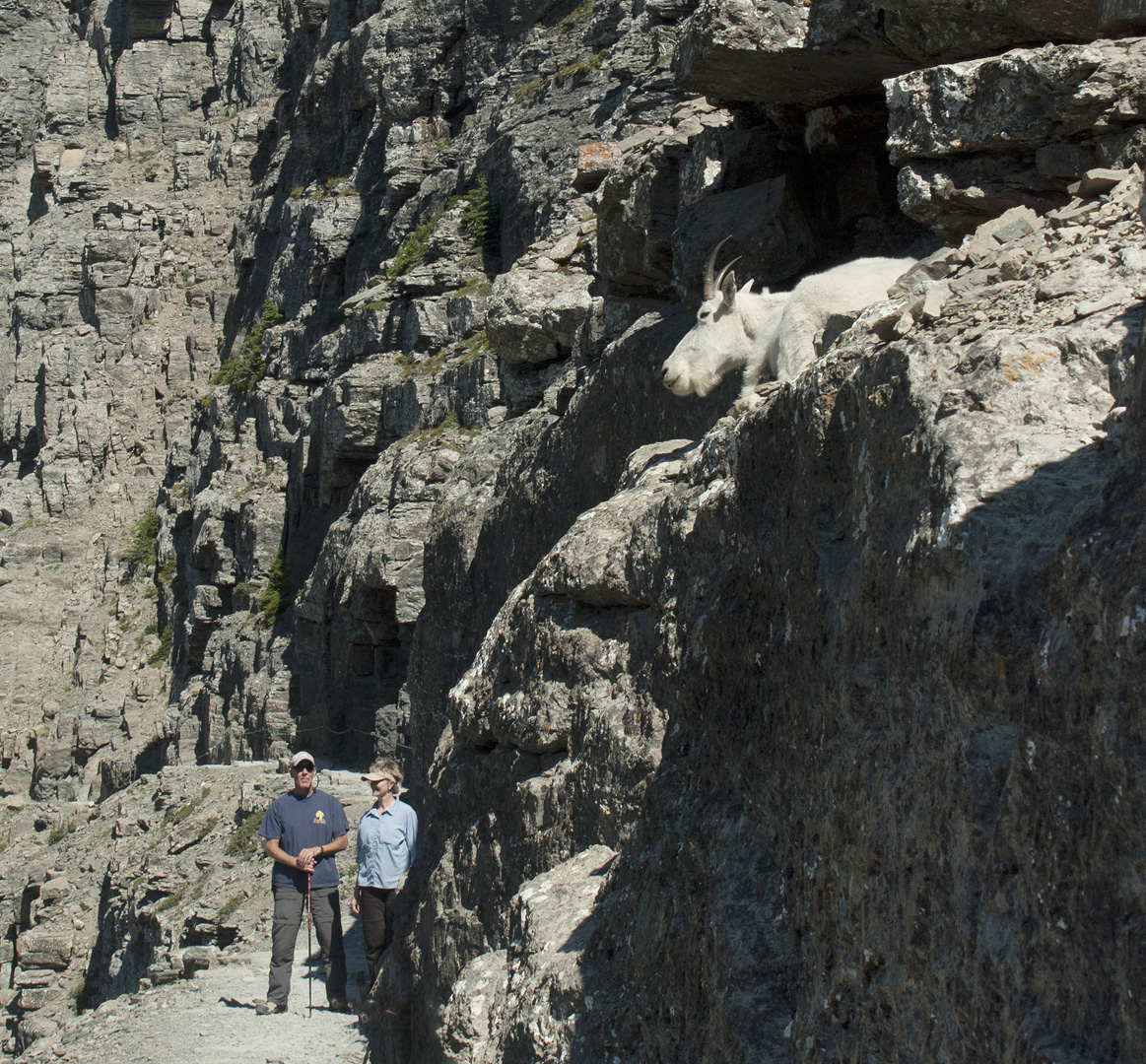 glacierNP_10_485.JPG