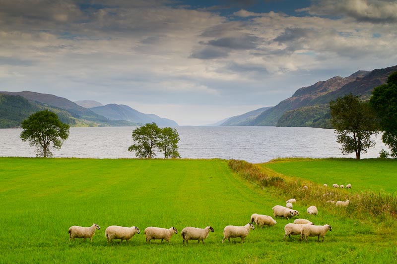 Loch Ness - the Eastern Shore