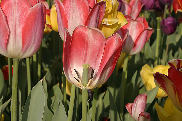 IMG_654315.jpg