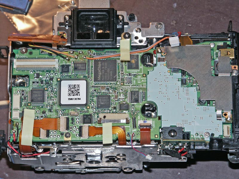 Back Removed 5D 008.jpg