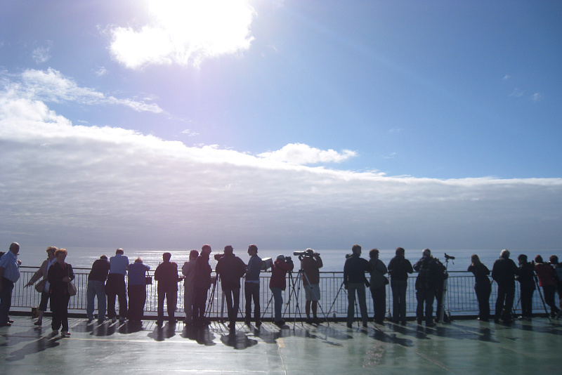 IMG_5024_whale watchers.jpg