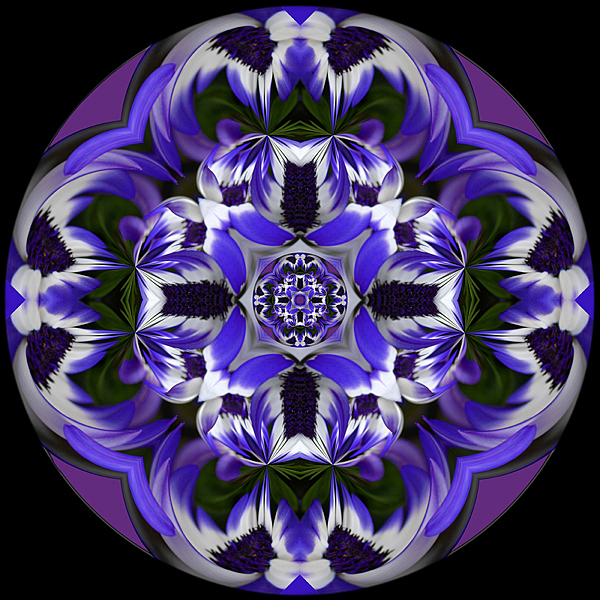 410 Blue Daisy Kaleidoscope