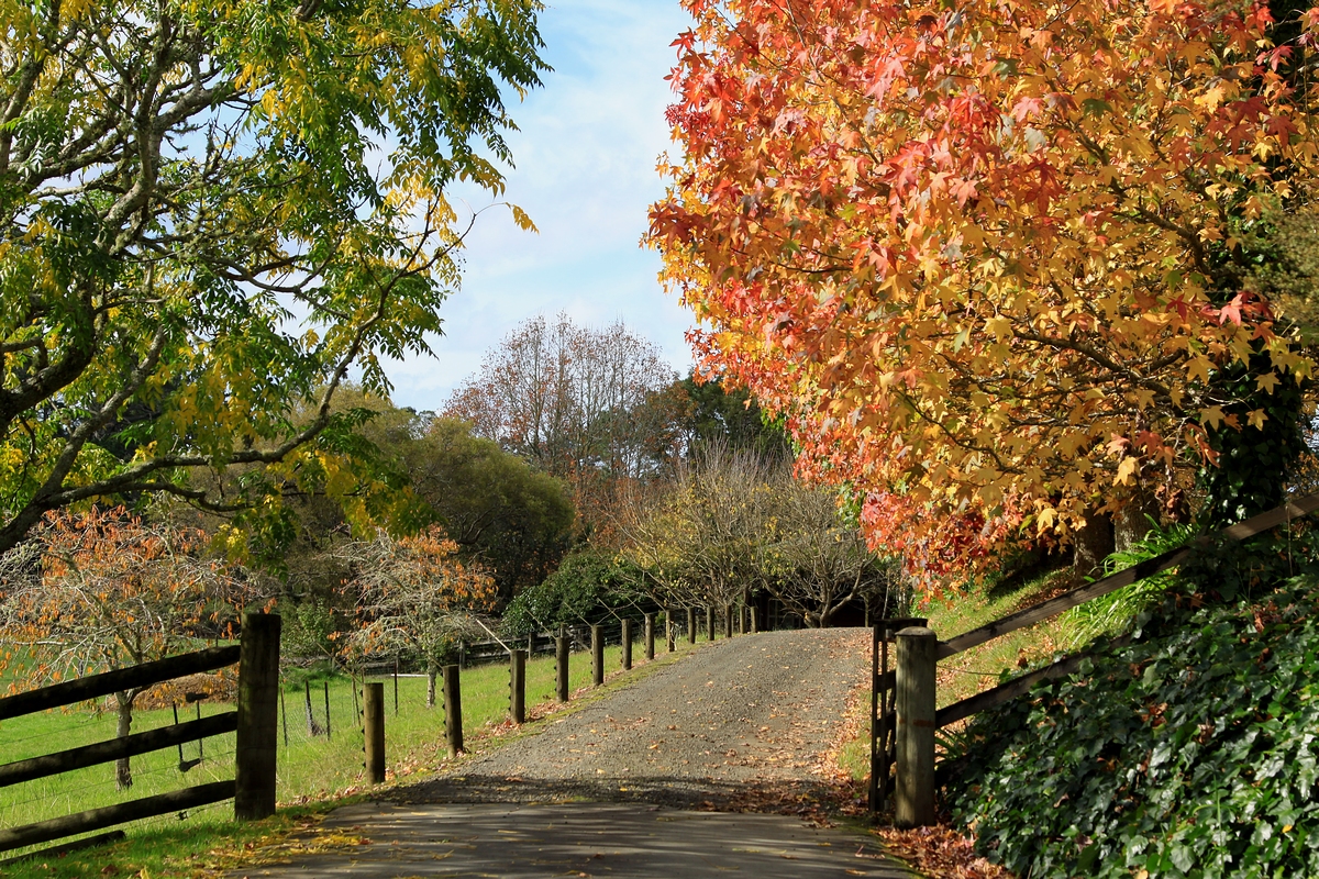 Colours of Autumn