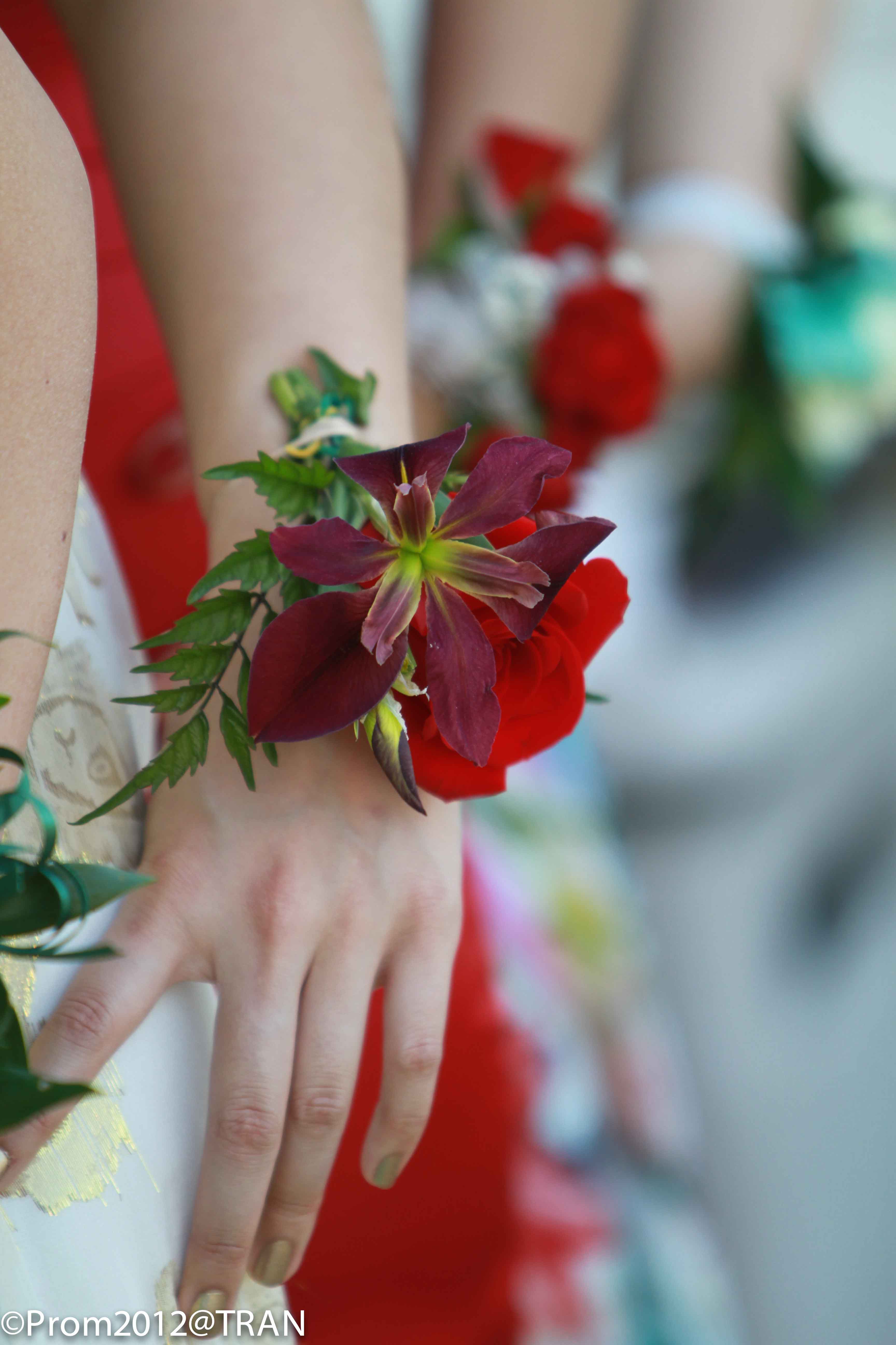 Prom-166.jpg