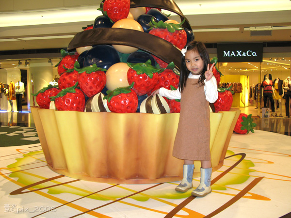2008-03-30_Festival Walk_02.JPG