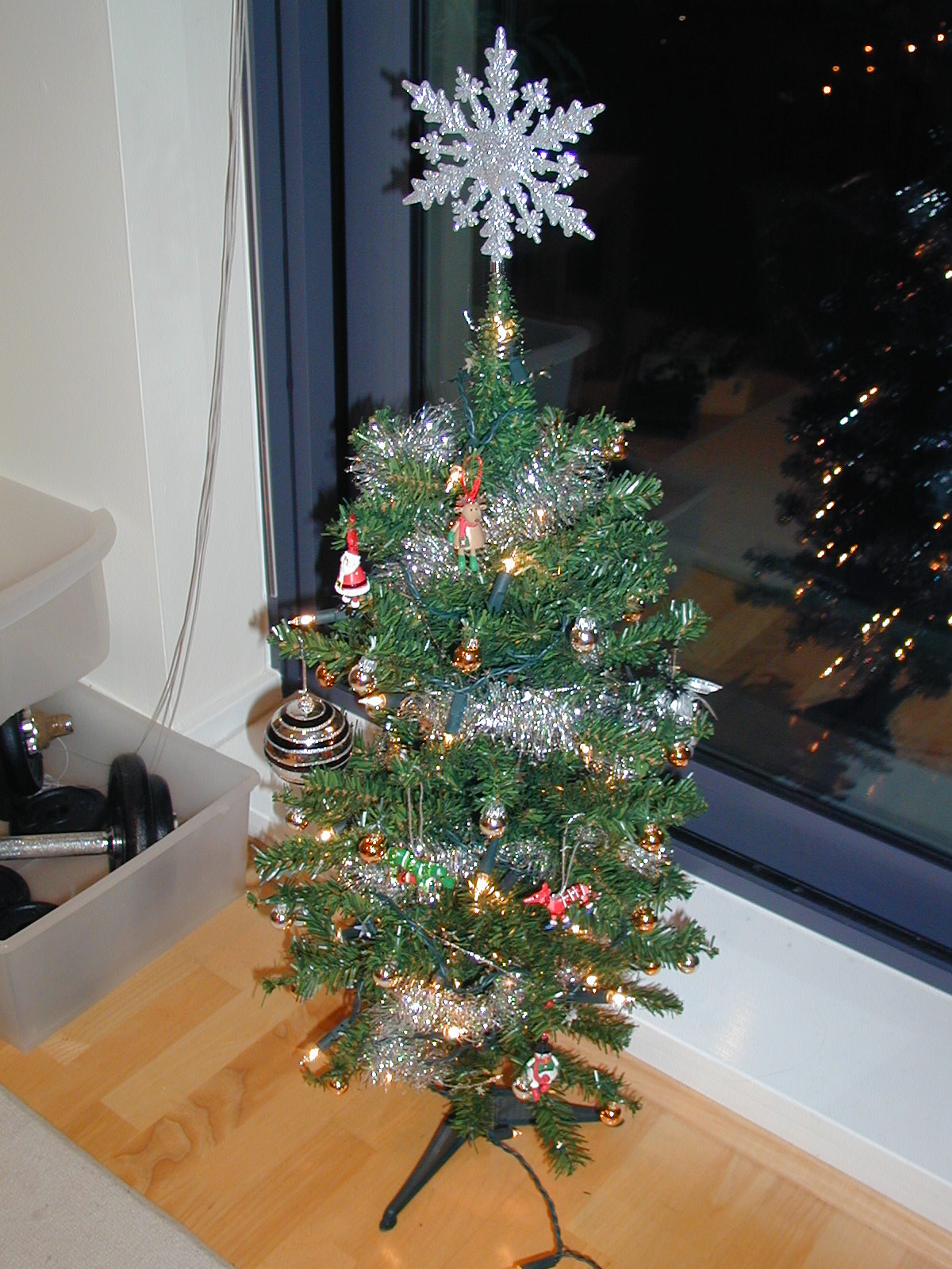 Our Humble Little Christmas Tree (12/23)