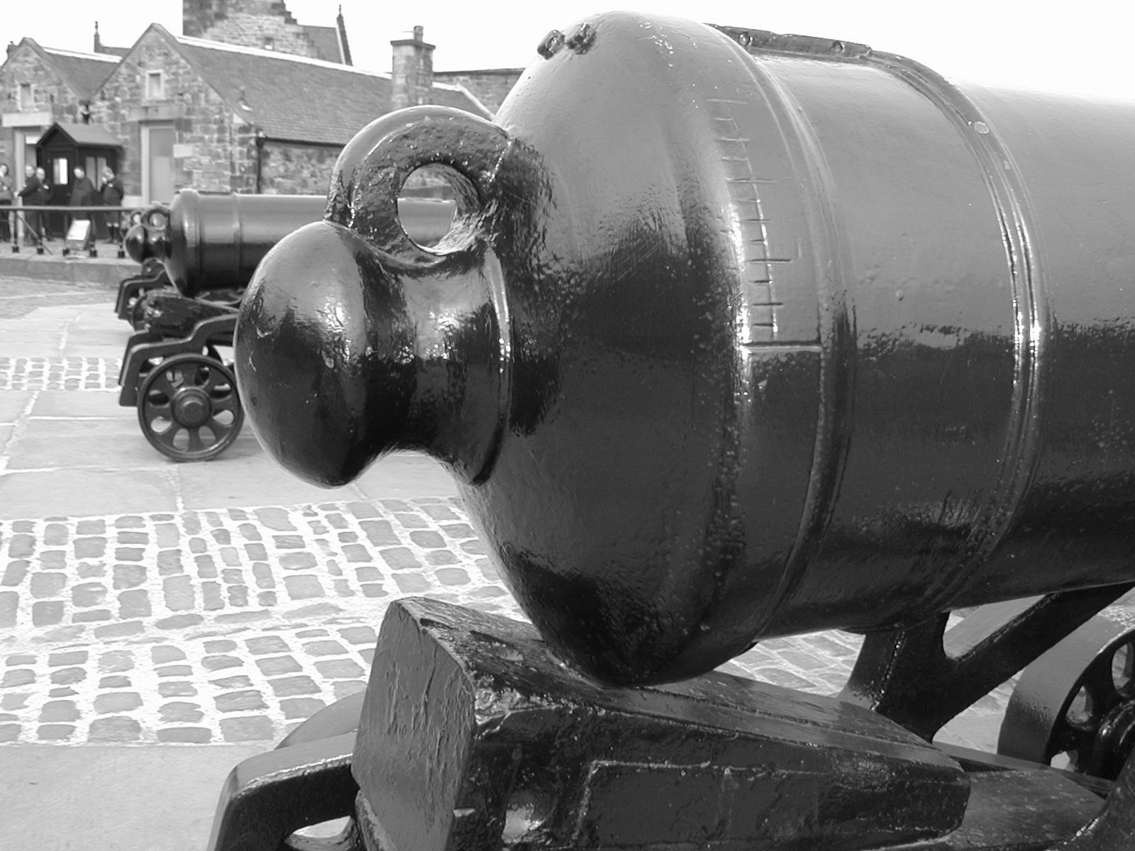 Cannons (5/24)
