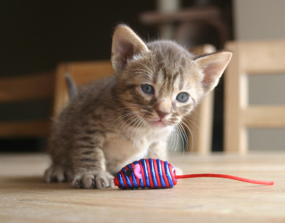 This is my catch!