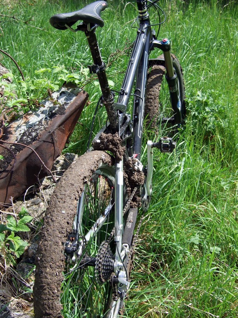 2008_0503007.JPG