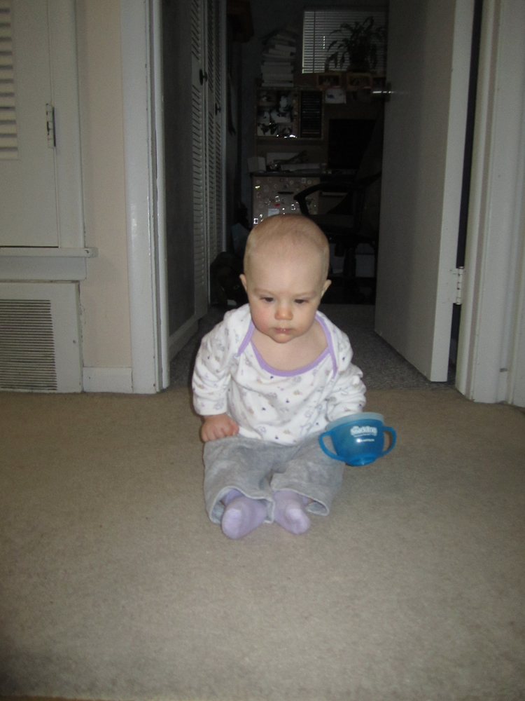 May 02, 2011
