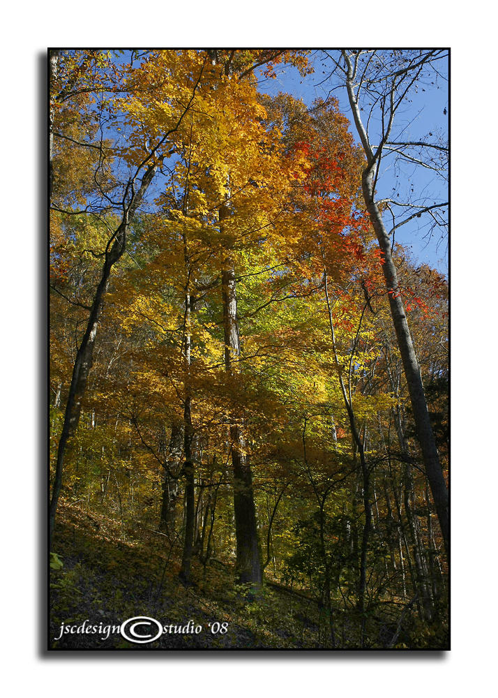 Fall Treasures V
