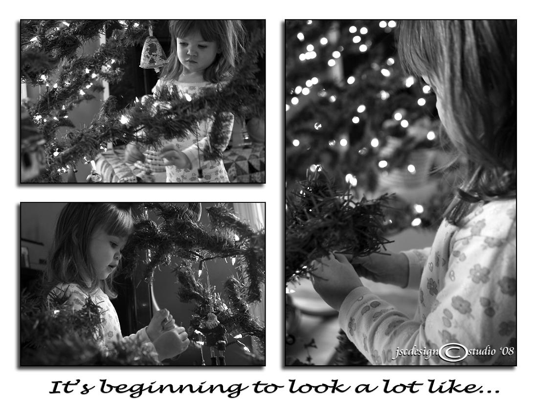 Its beginning...<br>November 25