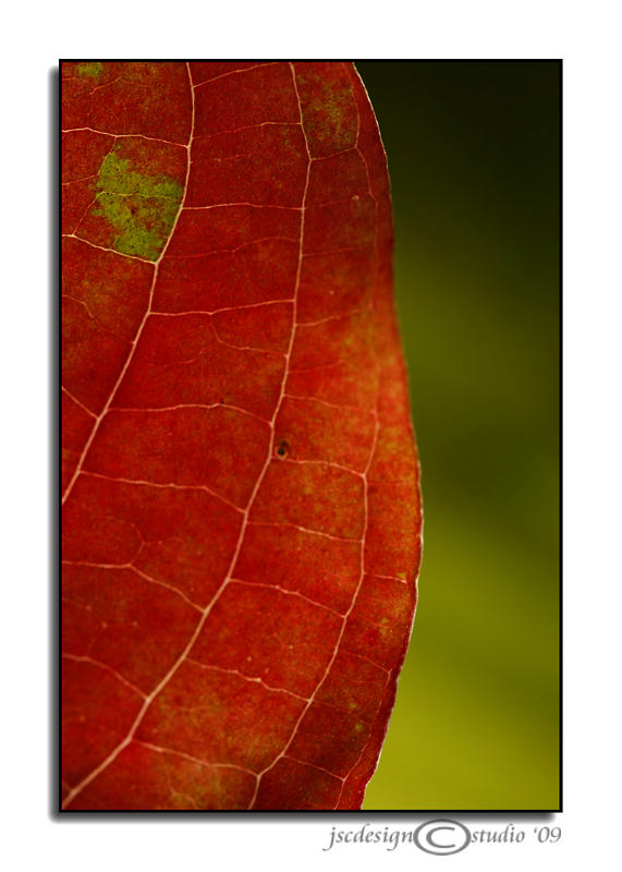 Red & Green<br>October 21
