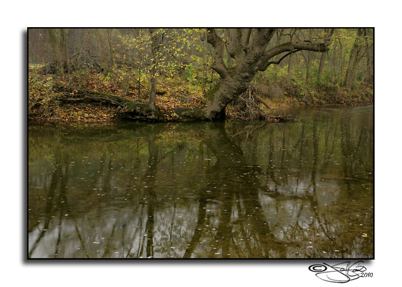 Brush Creek