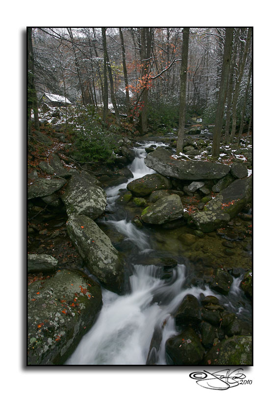 Snow along the Fork