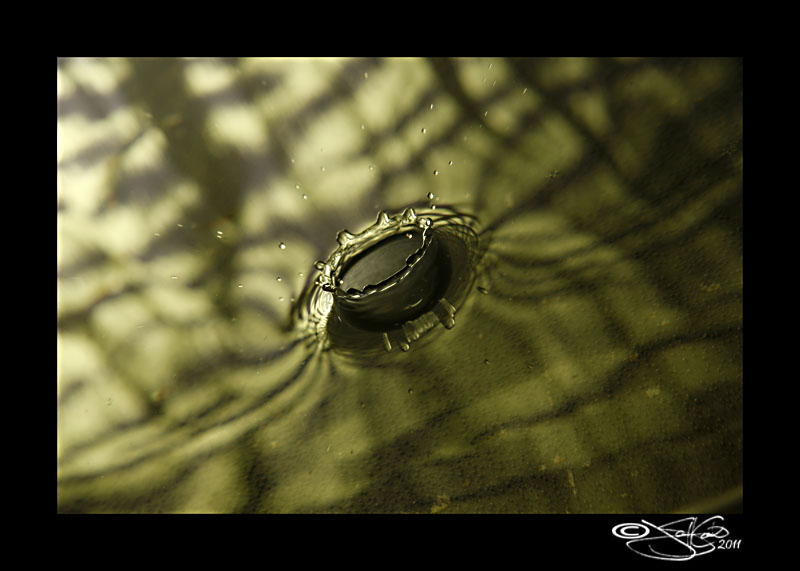 Verdant I