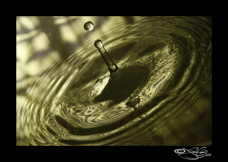 Verdant II