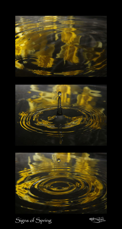 53<br>Water Color XXII
