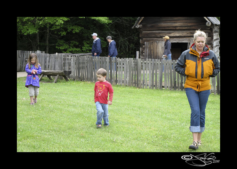 Cades Cove X