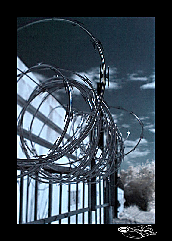 229<br>Barbed