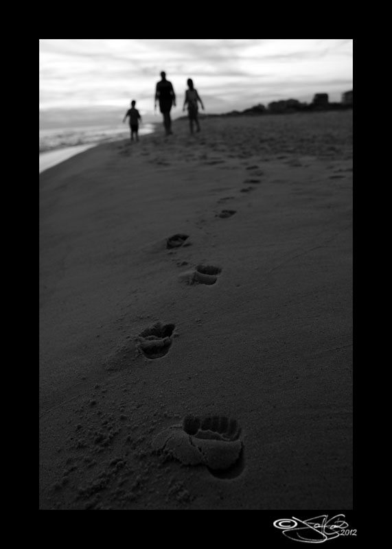 77:366<br>March Monochrome XVII