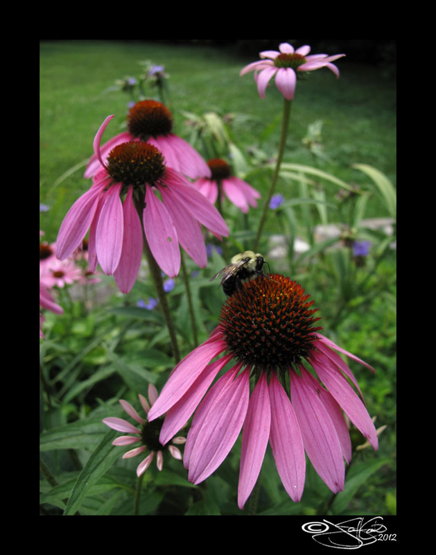 159:366<br>Beesy