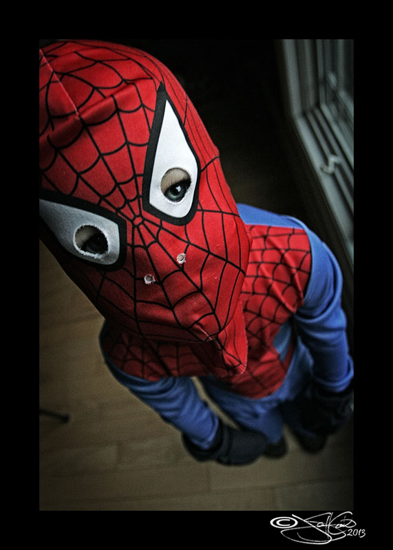 Living with Superheroes I
