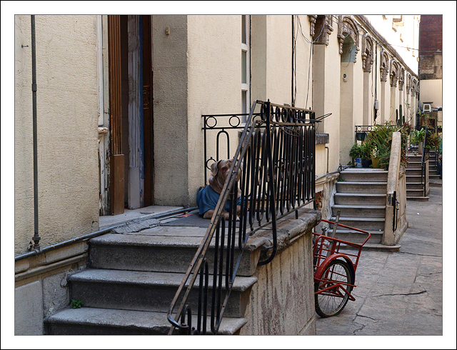 Alley