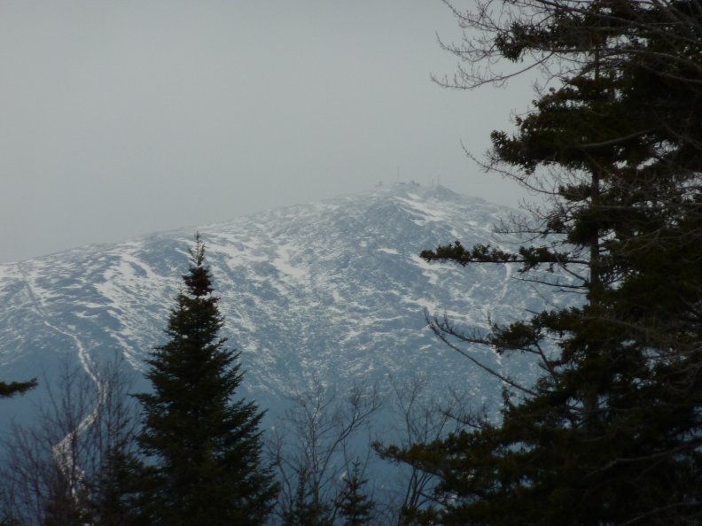 P1000424.jpg